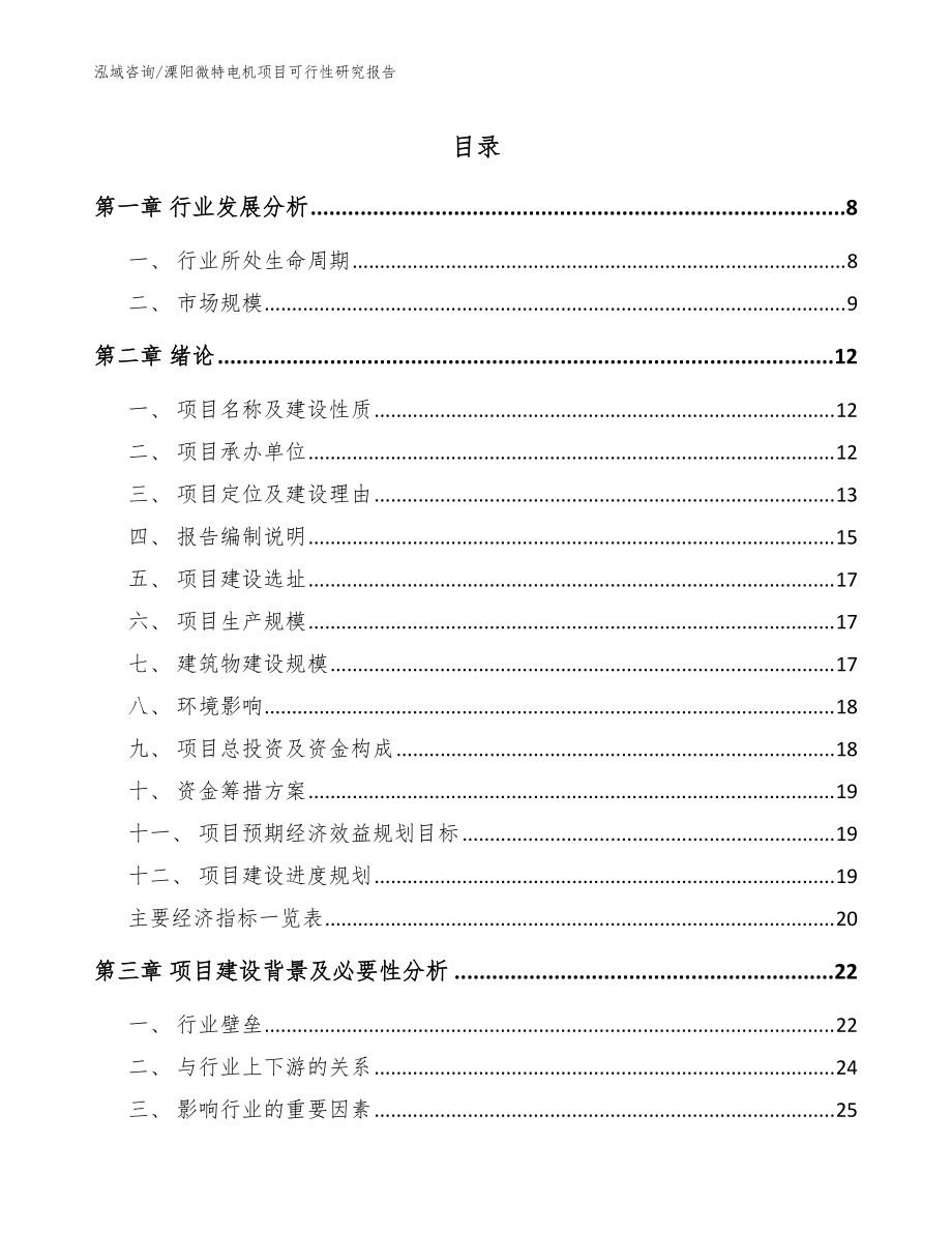 溧阳微特电机项目可行性研究报告（模板范文）_第1页