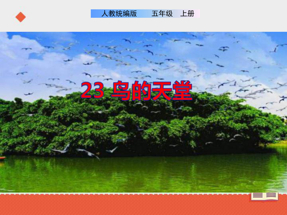 部編版五年級上冊語文23《鳥的天堂》課件_第1頁