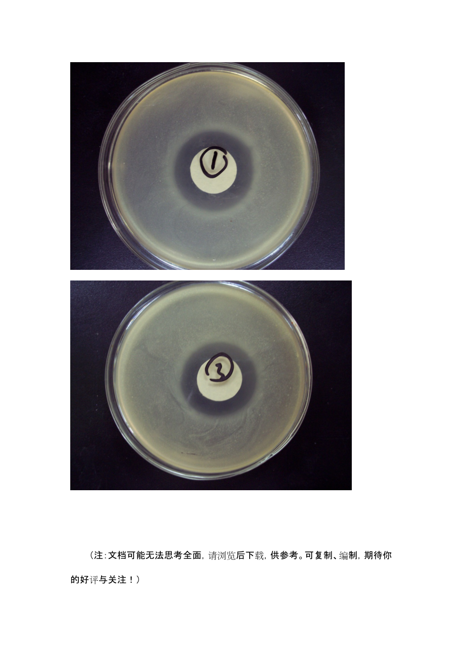 抗菌实验—抑菌圈法