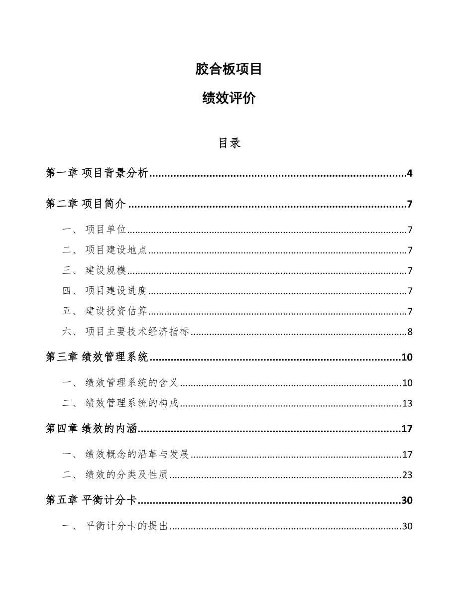 胶合板项目绩效评价（模板）_第1页