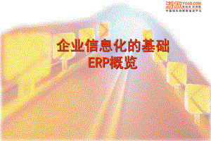 企业信息化的基础(ERP)