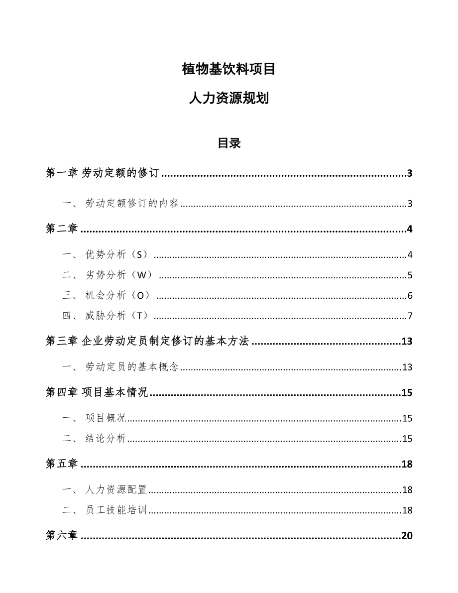 植物基饮料项目人力资源规划模板_第1页