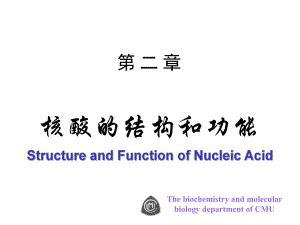 生物化学第二章核酸的结构和功能