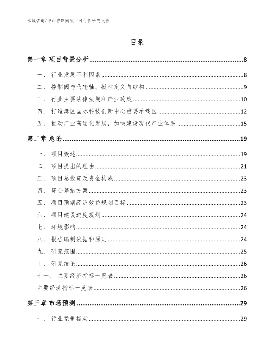 中山控制阀项目可行性研究报告（范文模板）_第1页