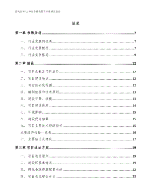 上海安全帽项目可行性研究报告（范文参考）
