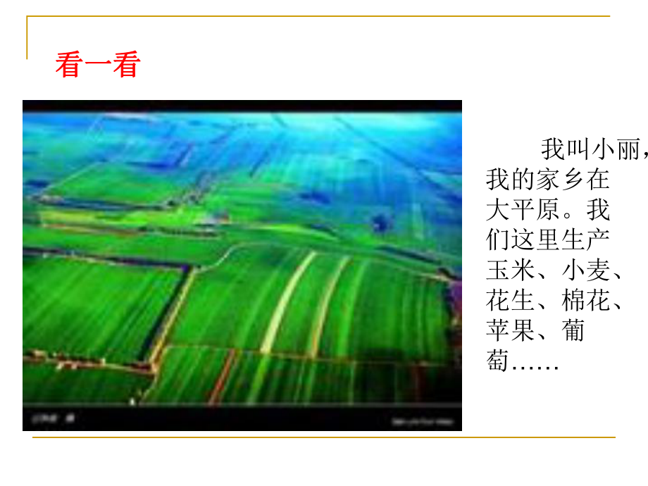 7_长江两岸是家乡之家乡物产知多少1_第1页