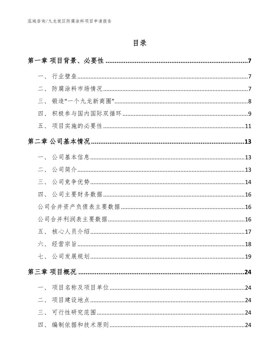 九龙坡区防腐涂料项目申请报告模板_第1页