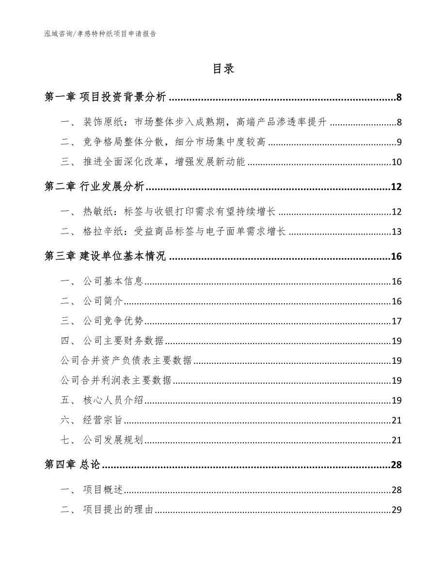 孝感特种纸项目申请报告范文_第1页