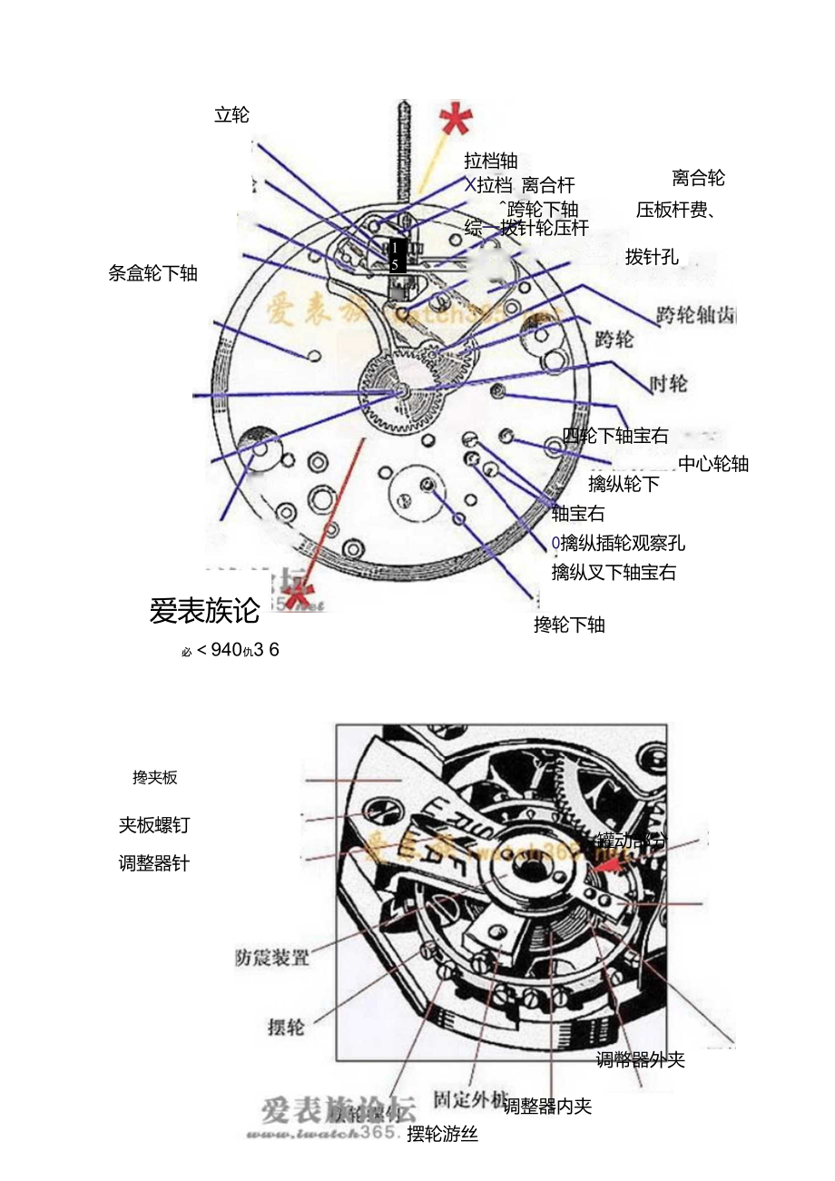 机械手表构造 含图