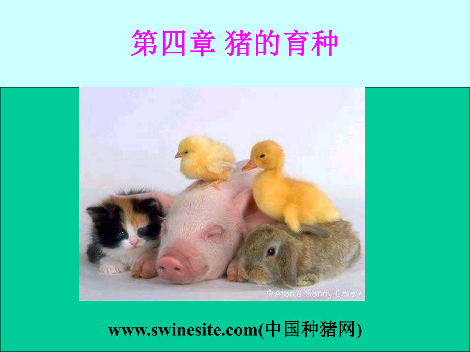 农业大学 猪生产学 教学课件 河南农业大学 第4章 猪的育种_第1页