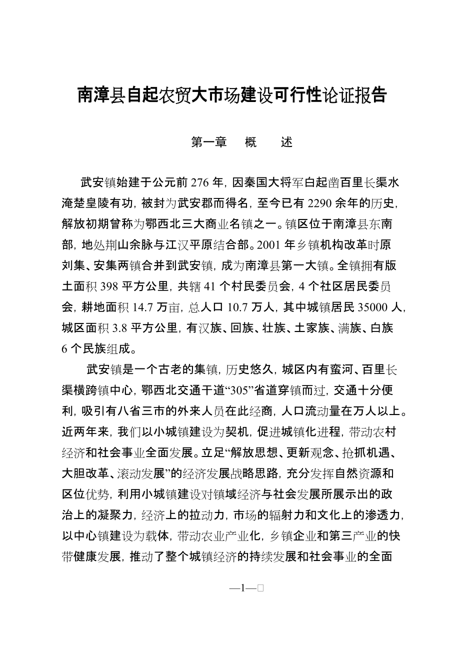 武安镇农贸市场建设可行性论证报告(DOC8页)_第1页