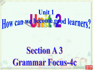 九年級(jí)Unit 2A課件3 ( Grammar-4c)