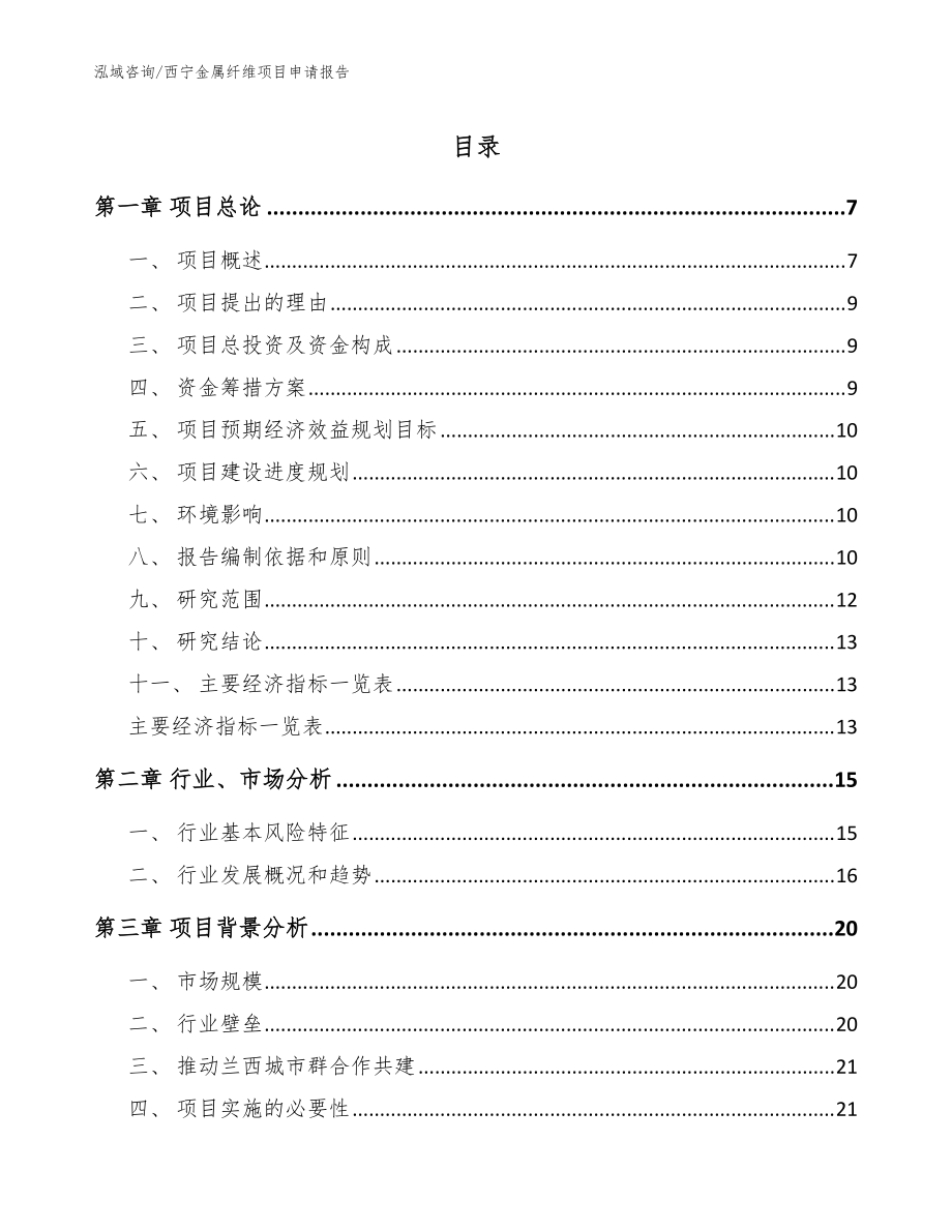西宁金属纤维项目申请报告【参考模板】_第1页