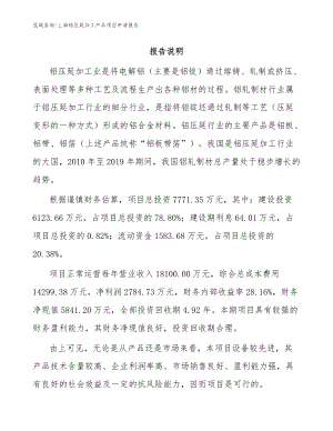 上海铝压延加工产品项目申请报告模板范本