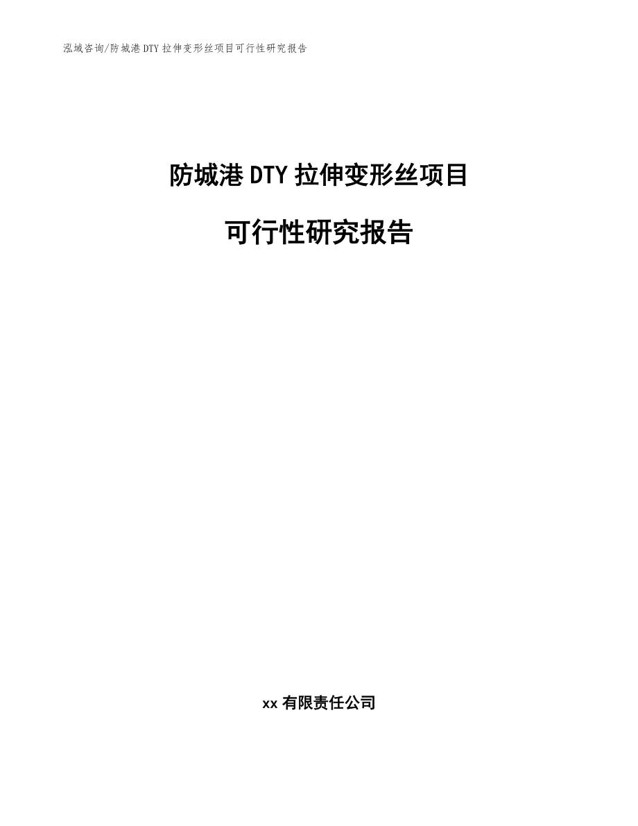 防城港DTY拉伸变形丝项目可行性研究报告_范文参考_第1页