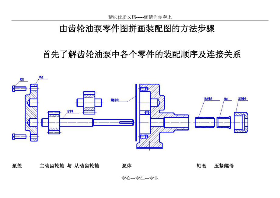 立式齿轮油泵装配图图片