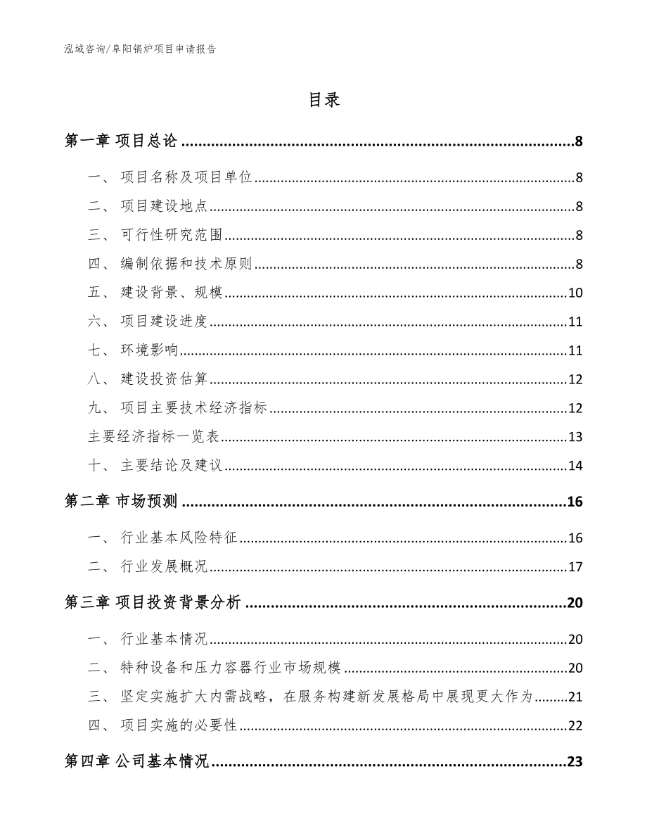 阜阳锅炉项目申请报告（范文参考）_第1页