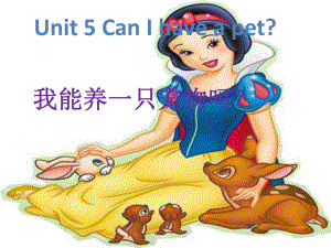 2016秋湘少版英語五年級上冊unit 5《can i have a pet》課件3