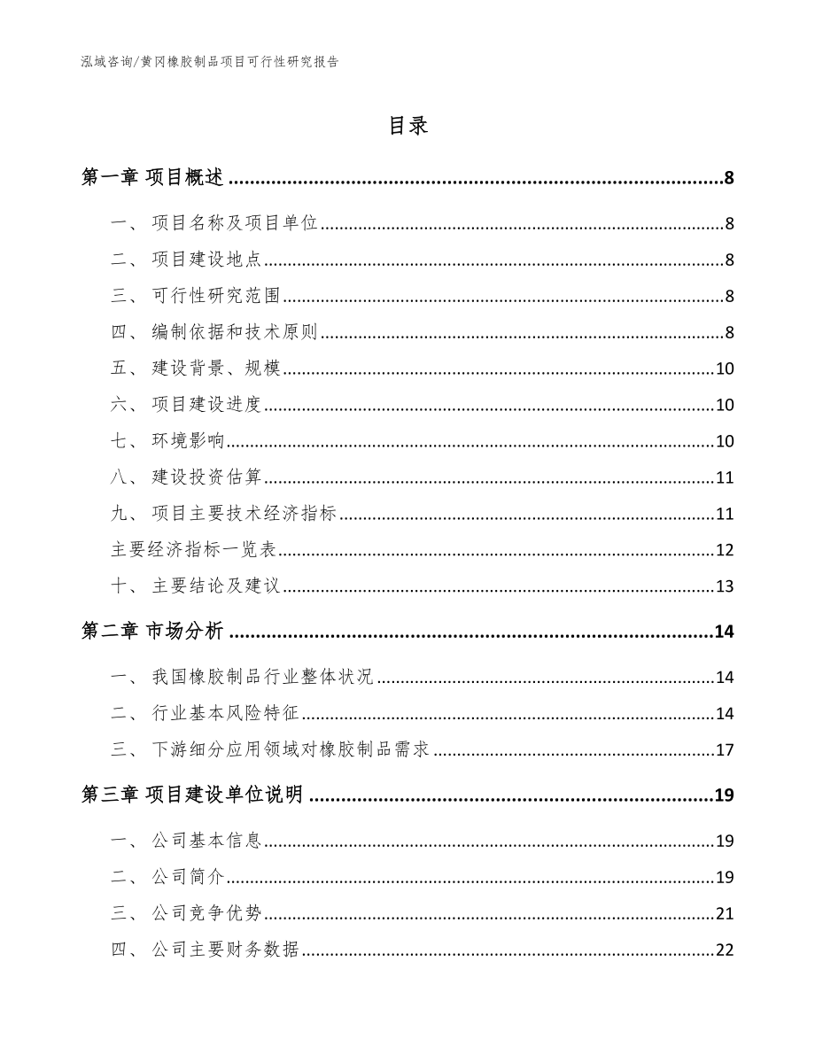 黄冈橡胶制品项目可行性研究报告【模板范本】_第1页