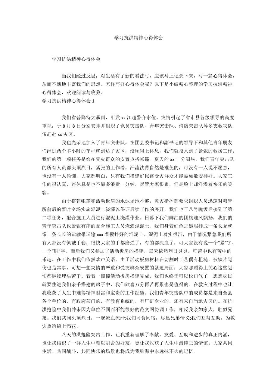 学习抗洪精神心得体会_第1页