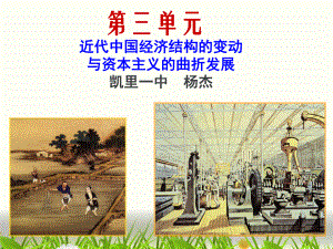 人教版高中历史必修二（课件）第9课近代中国经济结构的变动