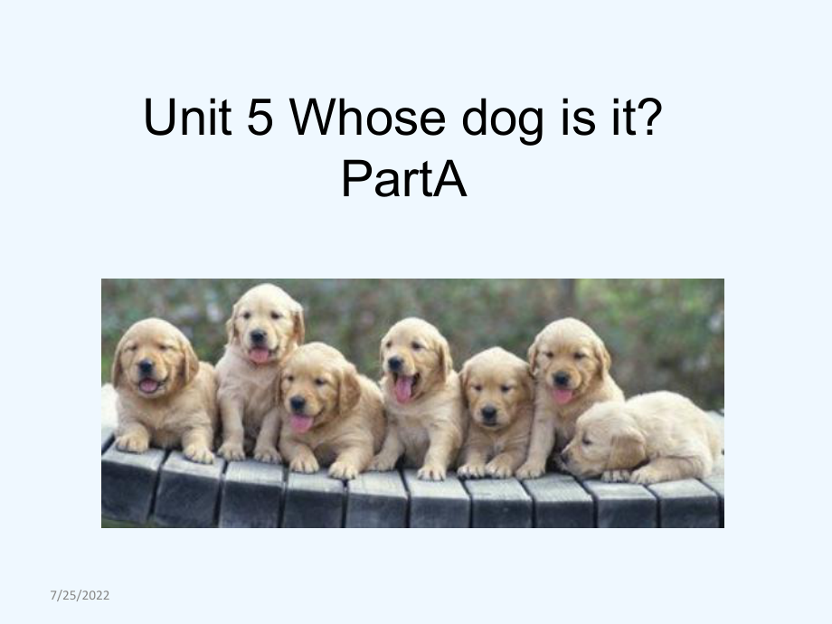 五年级下册英语课件-Unit 5 Whose dog is it A_人教PEP（202X秋） (共26张PPT)_第1页