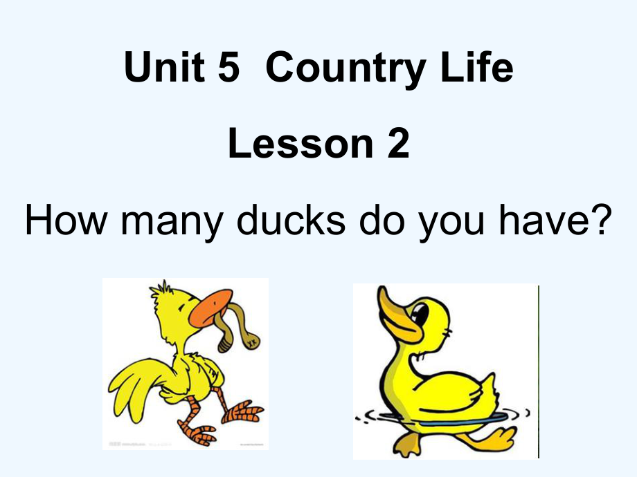 五年级下册英语课件-Unit 5 Country LifeLesson 2 How many ducks do you have∣鲁科版（五四制）（三起） (共22张PPT)_第1页