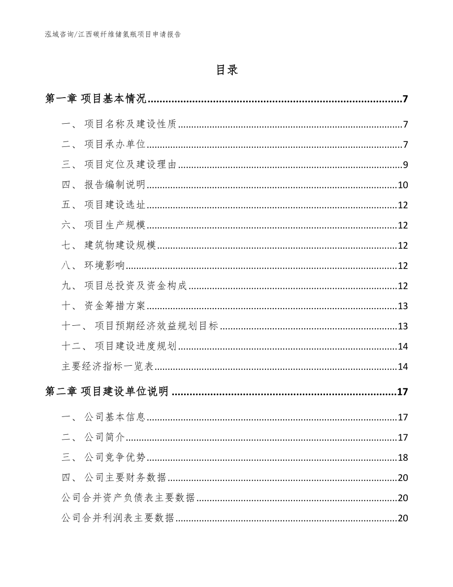 江西碳纤维储氢瓶项目申请报告范文_第1页