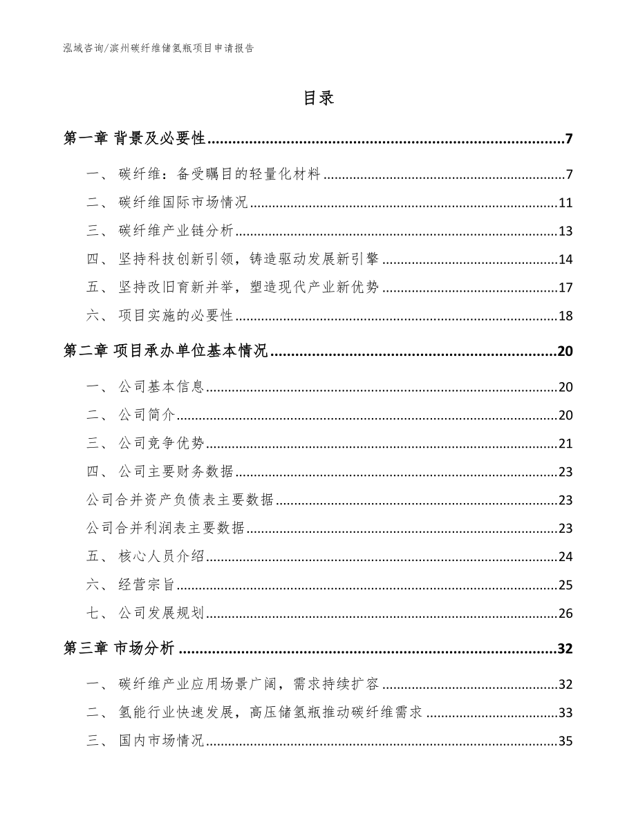 滨州碳纤维储氢瓶项目申请报告（参考模板）_第1页