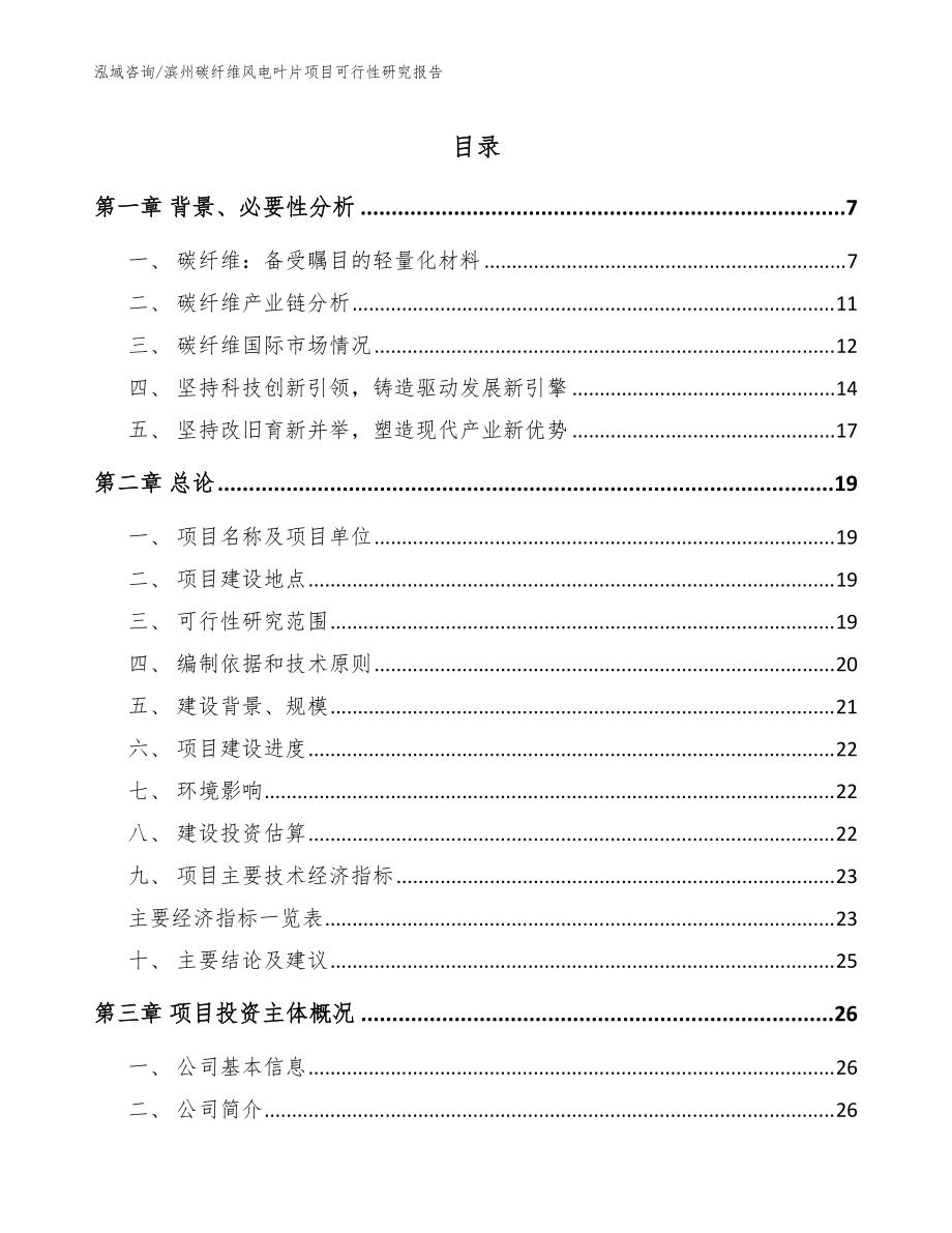 滨州碳纤维风电叶片项目可行性研究报告【模板参考】_第1页