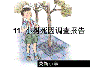 11_小树死因调查报告(第一课时)
