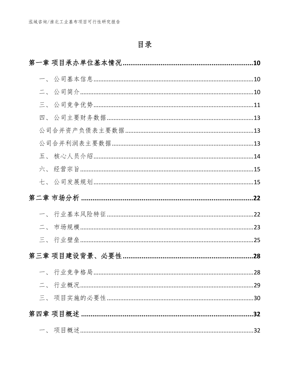 淮北工业基布项目可行性研究报告（模板参考）_第1页