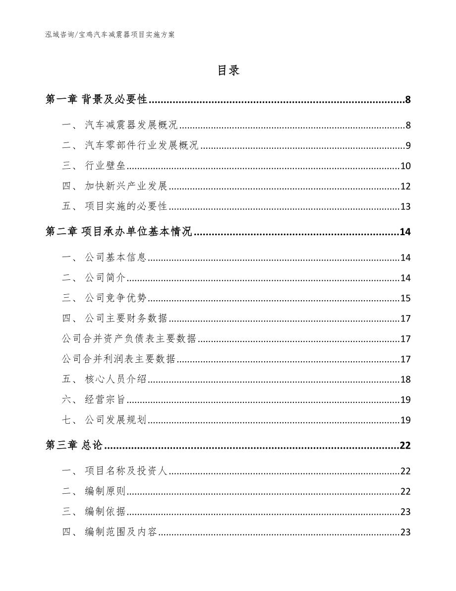 宝鸡汽车减震器项目实施方案模板_第1页