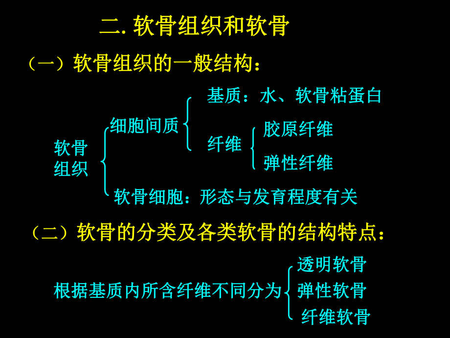 (人體結(jié)構(gòu)學(xué))第二章 基本組織 軟骨和骨_第1頁