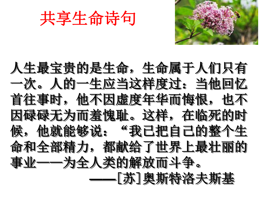 《贝壳》课件 (2)_第1页