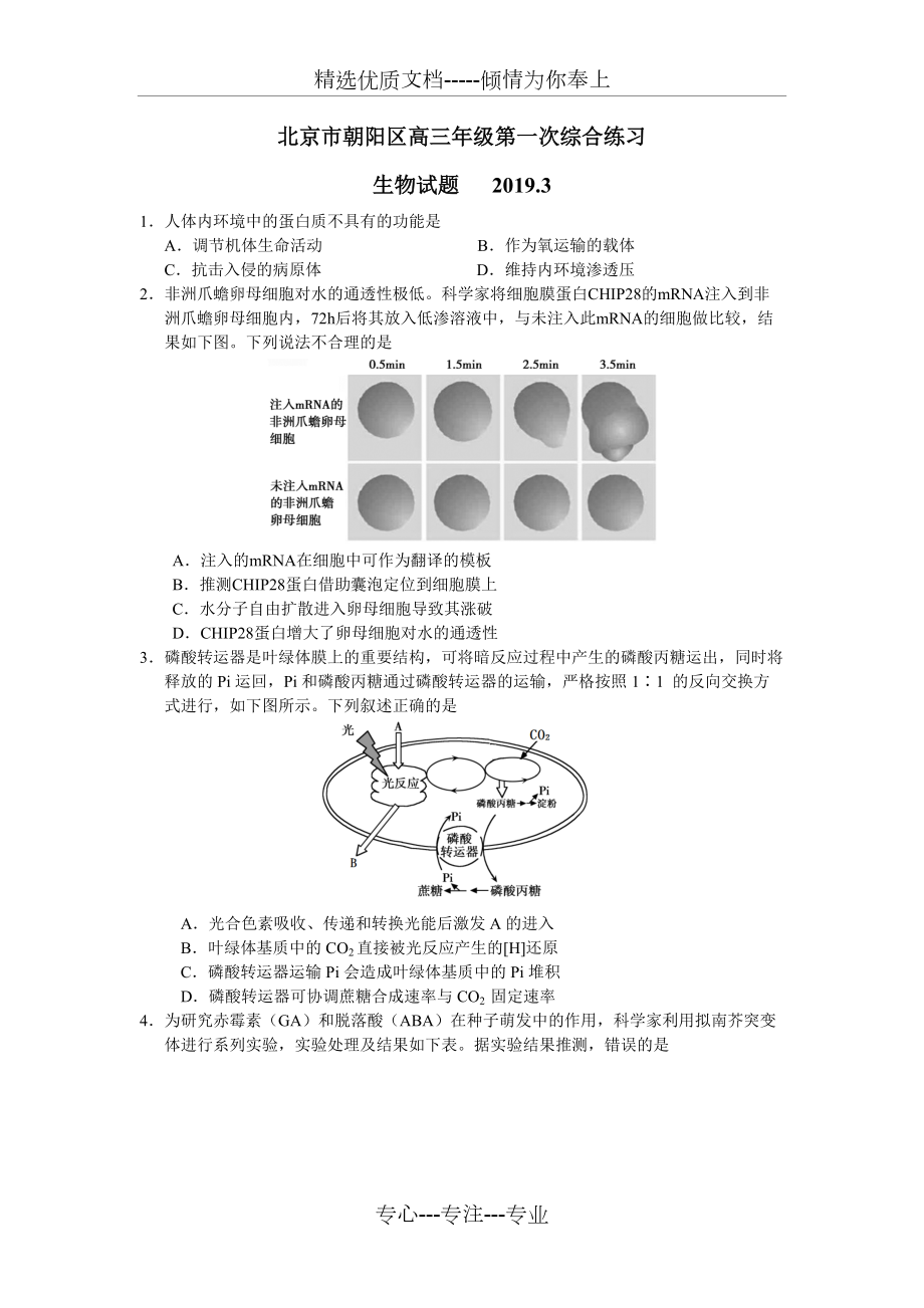 2019-朝阳-一模-生物试题及答案(共7页)_第1页