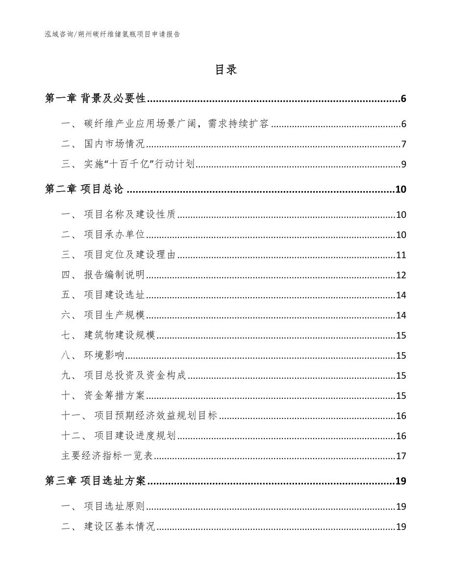 朔州碳纤维储氢瓶项目申请报告范文_第1页