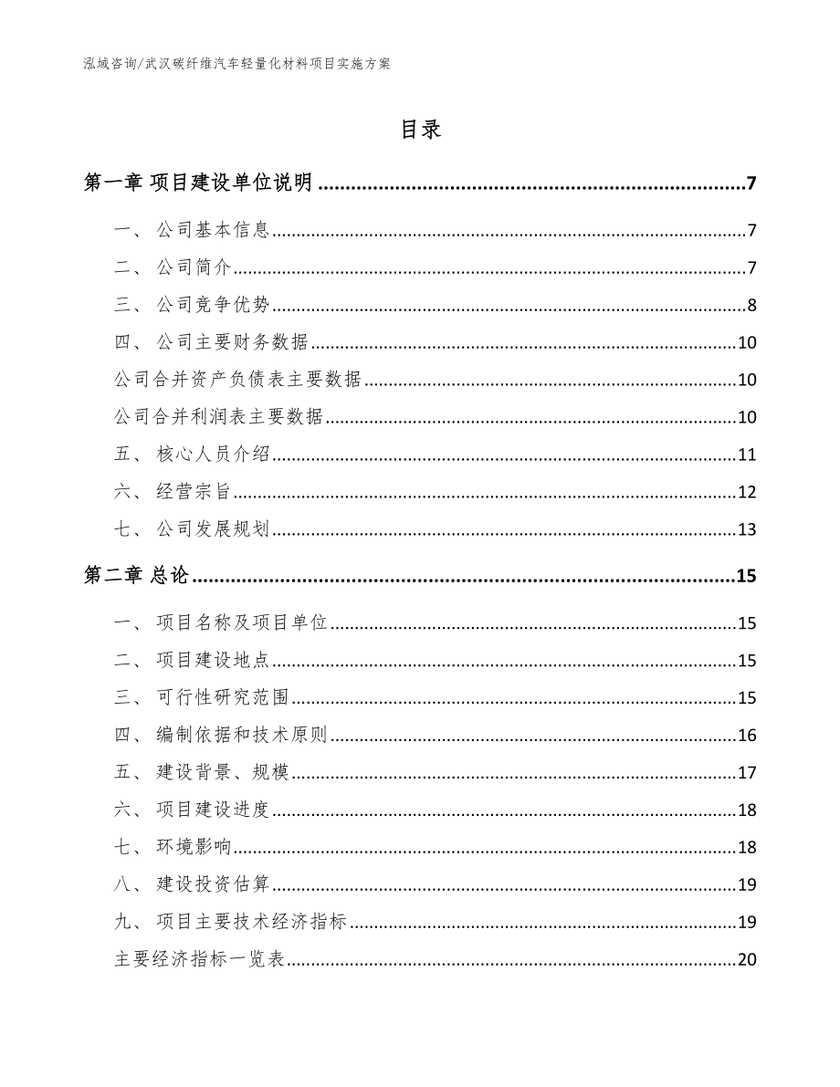 武汉碳纤维汽车轻量化材料项目实施方案（模板参考）_第1页