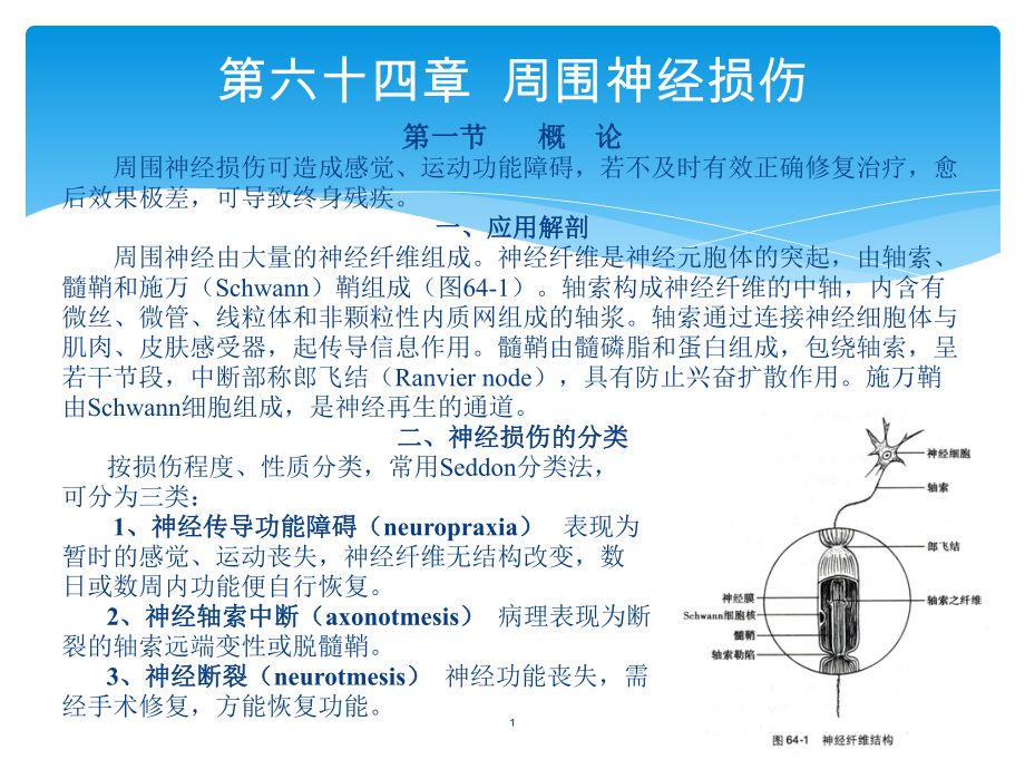 骨外科教學(xué)課件：第六十四章周圍神經(jīng)損傷_第1頁