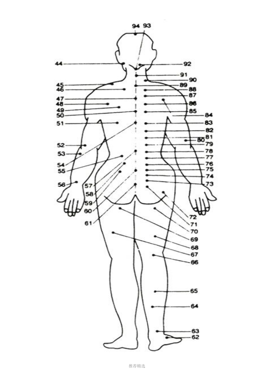 人体背部拔罐穴位图