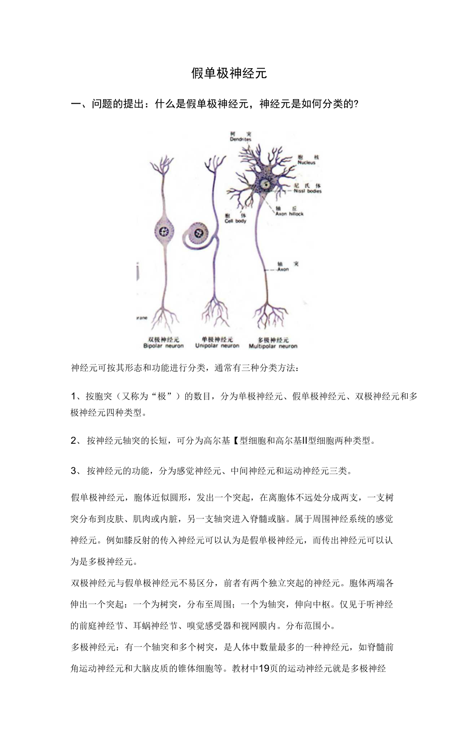 假单极神经元图图片