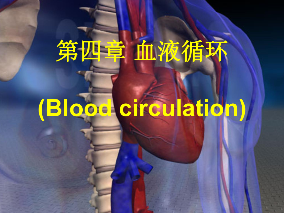 生理學(xué)教學(xué)課件：第四章 血液循環(huán)_第1頁