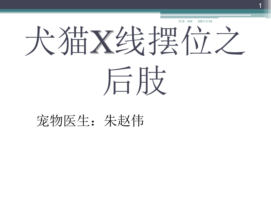 犬猫X线摆位--后肢PPT课件_第1页