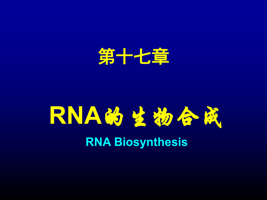 生物化學(xué)與分子生物學(xué)：13 RNA的生物合成_第1頁