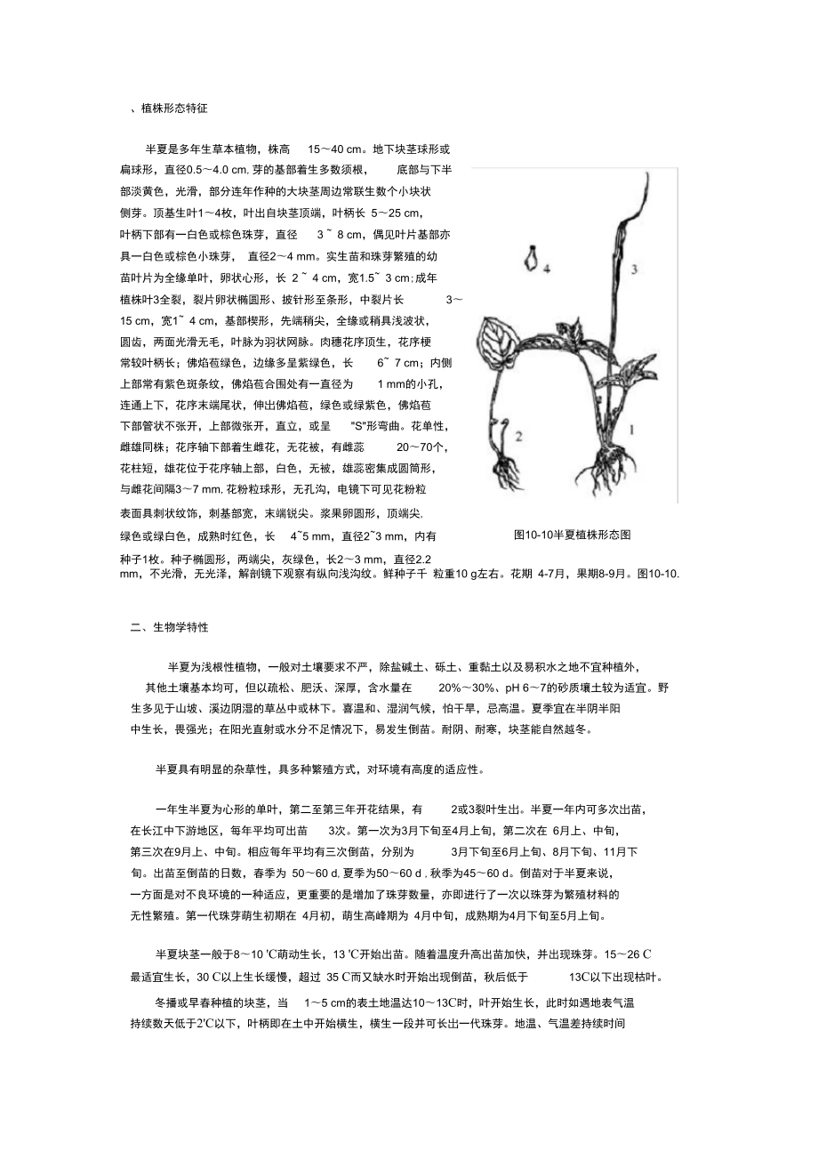 半夏种植专业技术_第1页