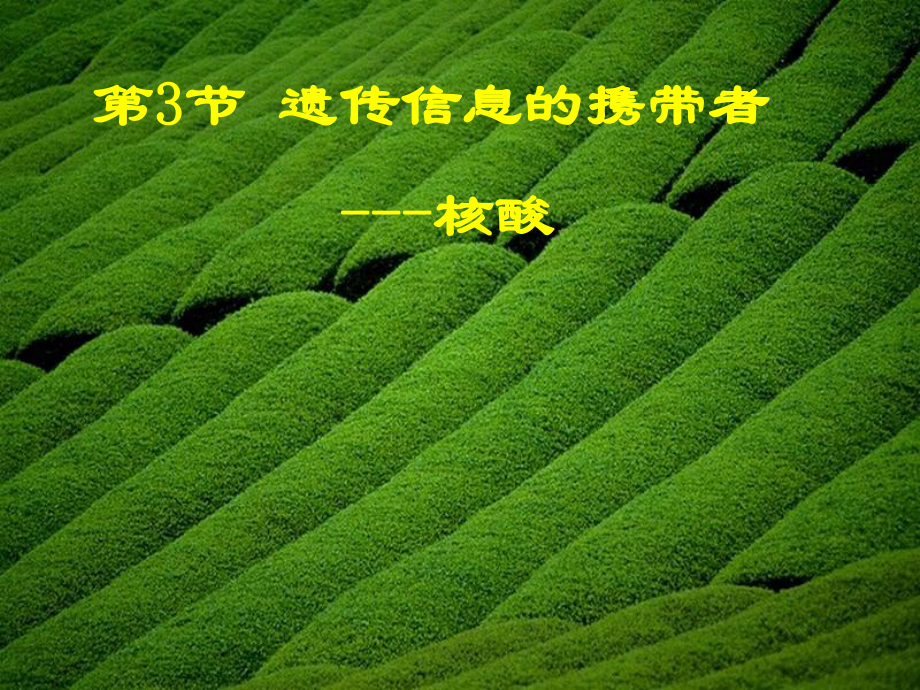 高中生物：23《遗传信息的携带者-核酸》课件(1)(新人教版必修1)_第1页