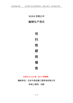 磁钢生产项目可行性研究报告模板