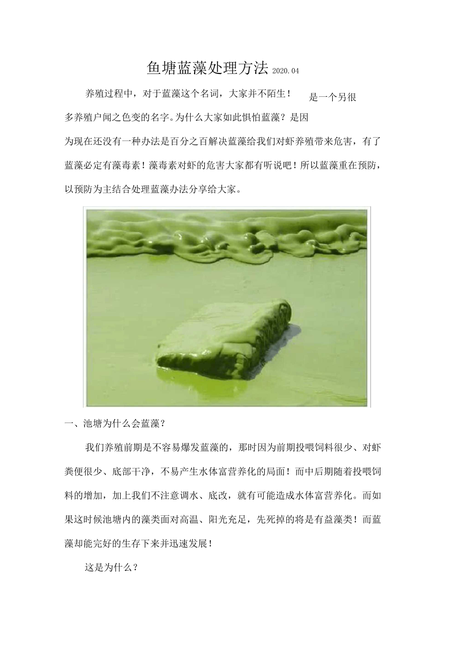鱼虾塘蓝藻的处理方法_第1页