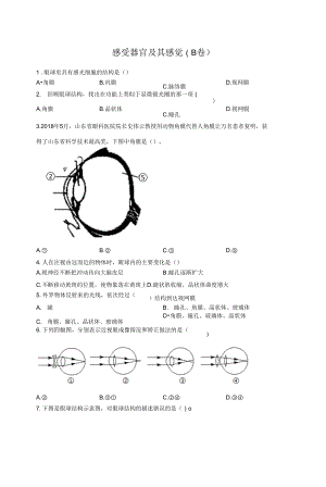 2022屆中考生物專項(xiàng)練習(xí) 感受器官及其感覺（B卷）