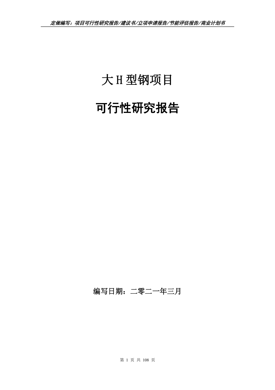 大H型钢项目可行性研究报告写作范本_第1页